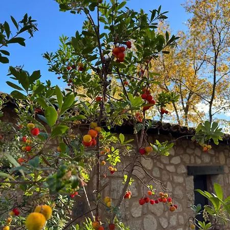 El Roble, Casitas Rurales 公寓 *