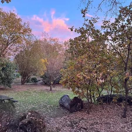 Apartment El Roble, Casitas Rurales *