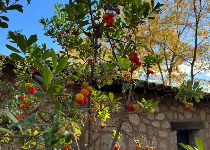 El Roble, Casitas Rurales Apartmán *