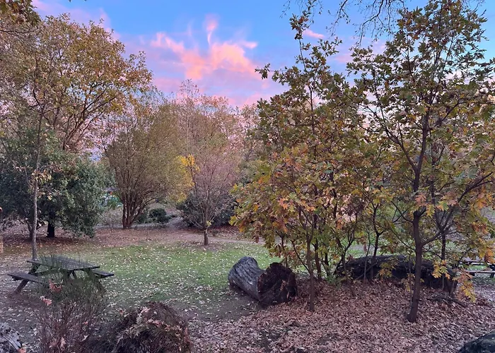 Apartmán El Roble, Casitas Rurales *
