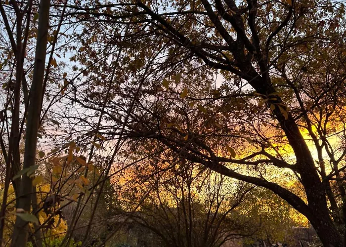 Appartamento El Roble, Casitas Rurales Valverde de la Vera