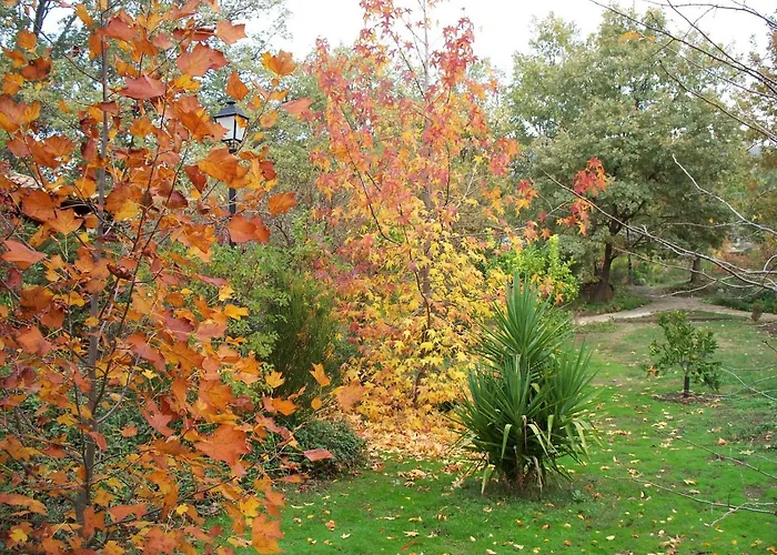 Apartment El Roble, Casitas Rurales *