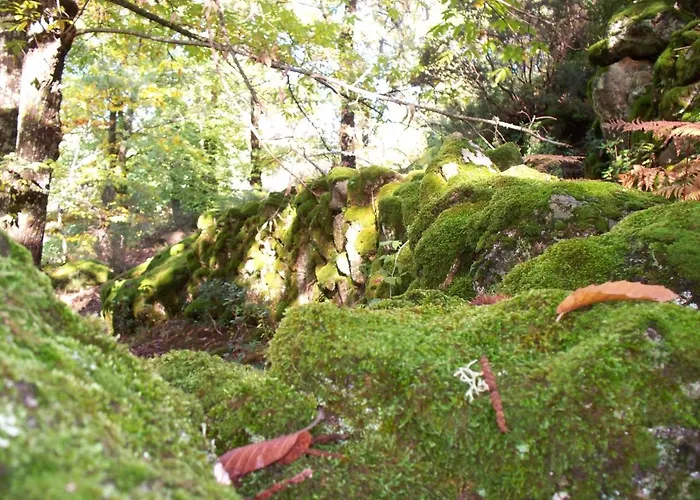 El Roble, Casitas Rurales * Valverde de la Vera